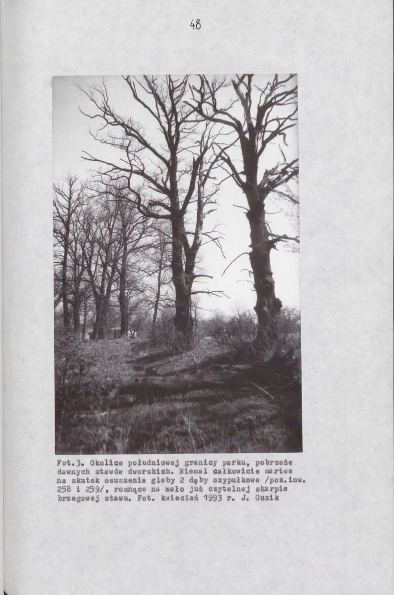 EP - Ewidencja parkowa, skan nr 56