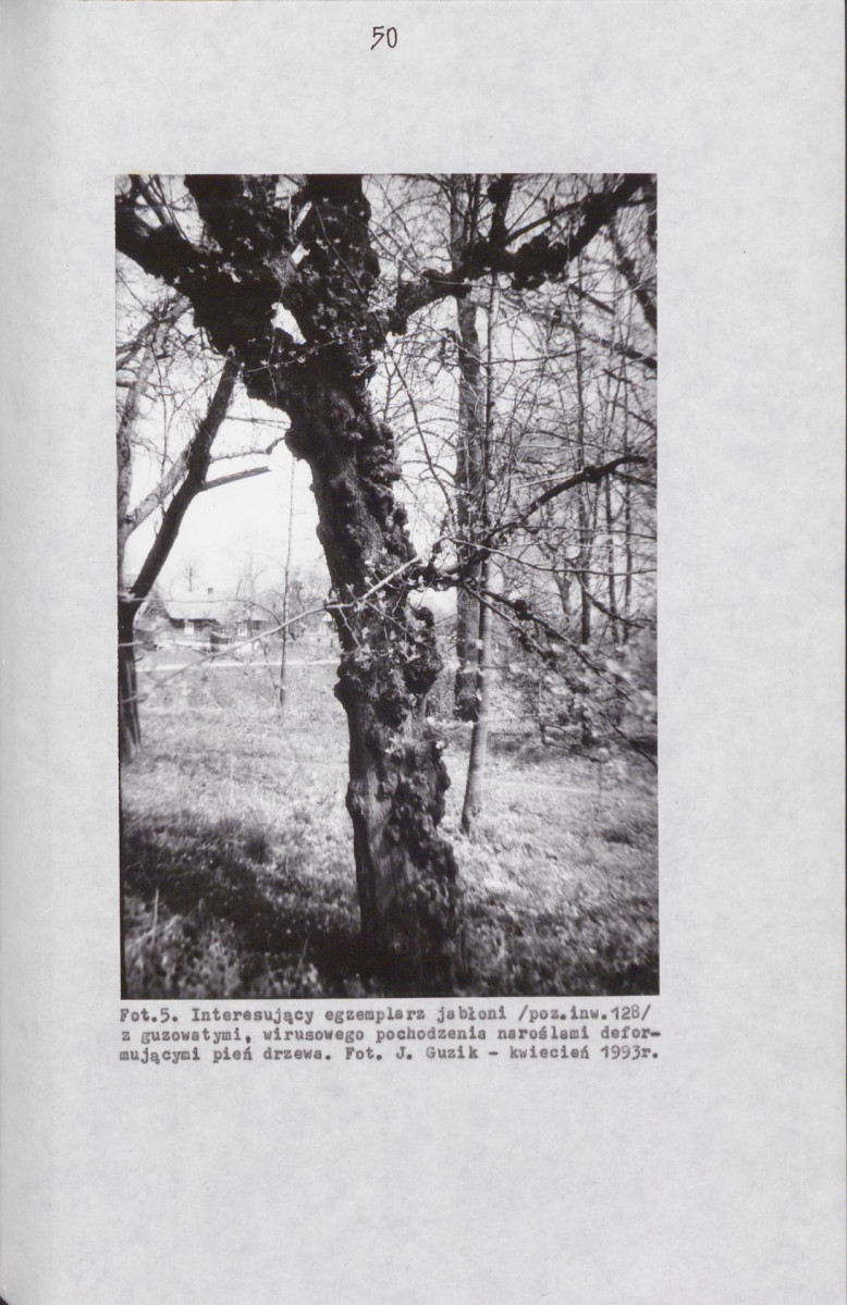 EP - Ewidencja parkowa, skan nr 58