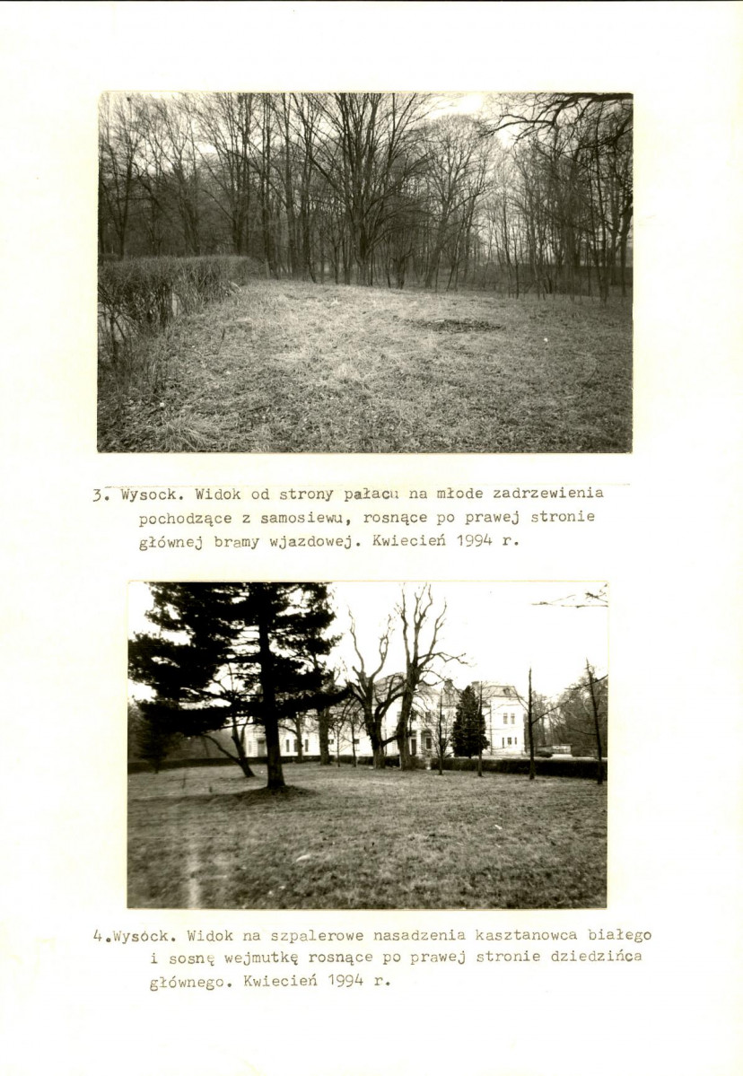 Ewidencja parkowa, skan nr 43