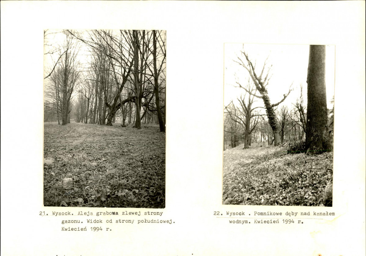 Ewidencja parkowa, skan nr 52