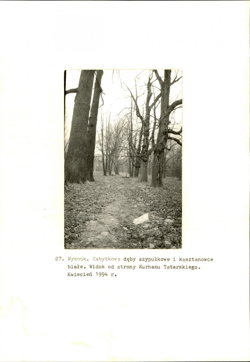 Ewidencja parkowa, skan nr 55