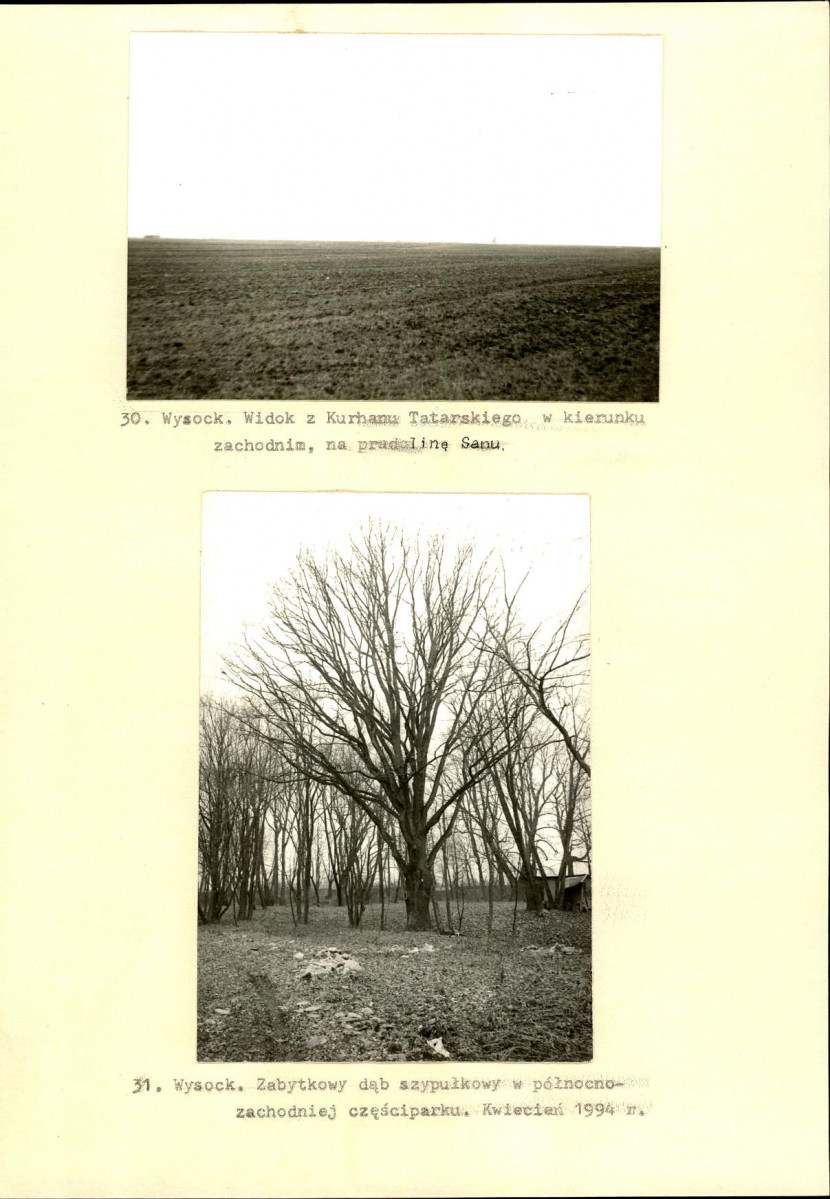 Ewidencja parkowa, skan nr 57