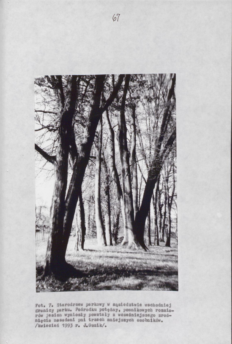 EP - Ewidencja parkowa, skan nr 76