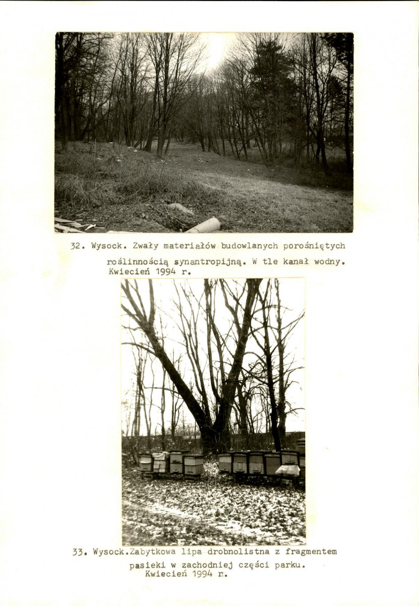 Ewidencja parkowa, skan nr 58