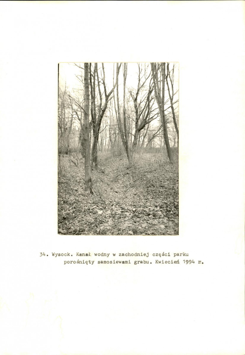 Ewidencja parkowa, skan nr 59