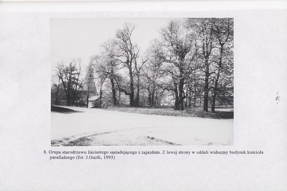 Ewidencja parkowa, skan nr 51