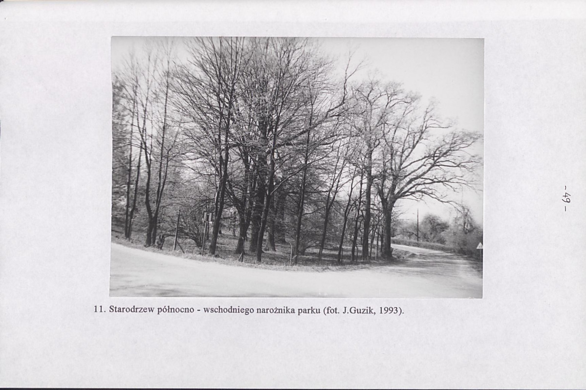 Ewidencja parkowa, skan nr 54