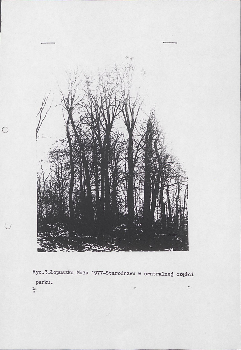 Ewidencja parkowa, skan nr 10
