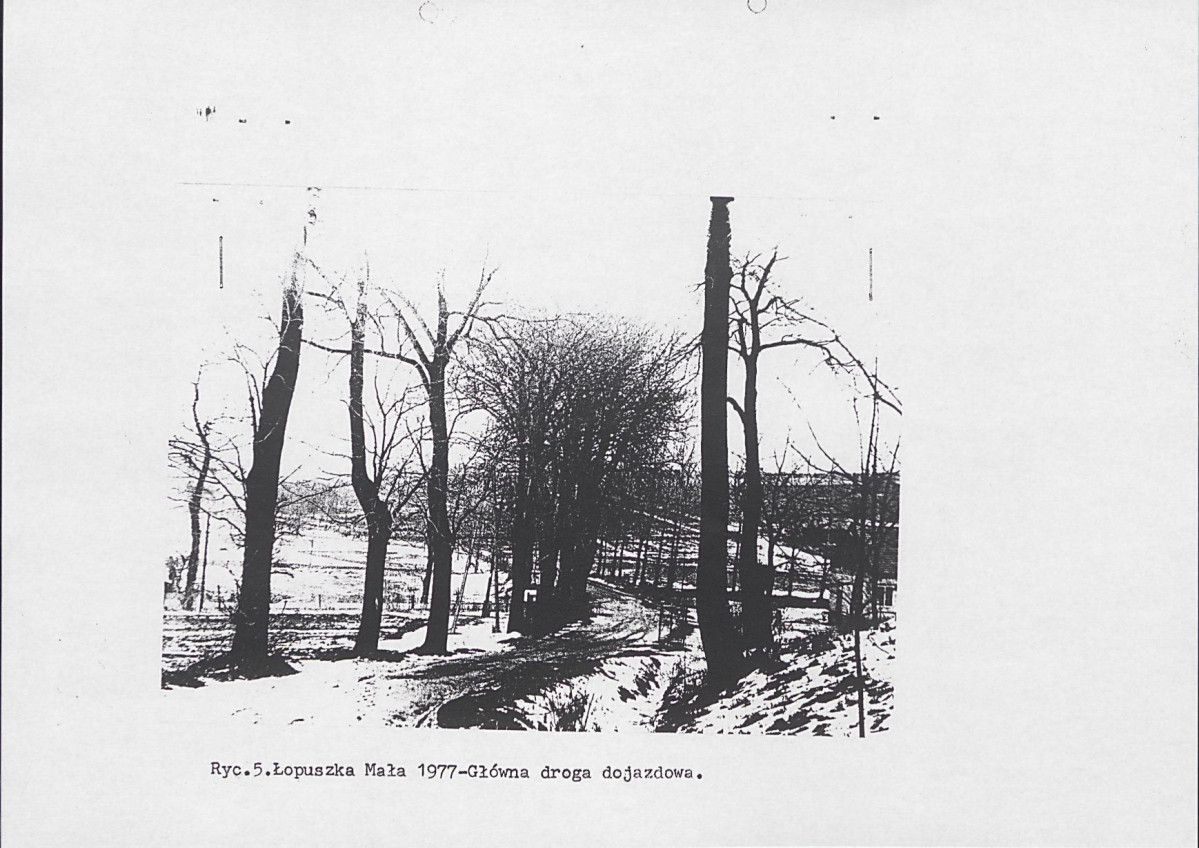 Ewidencja parkowa, skan nr 12
