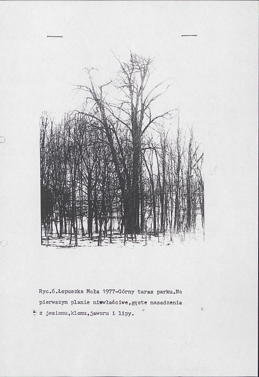 Ewidencja parkowa, skan nr 13