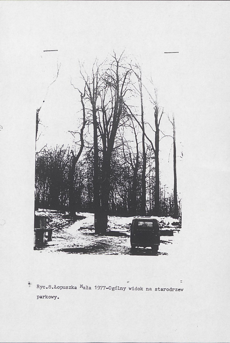 Ewidencja parkowa, skan nr 15