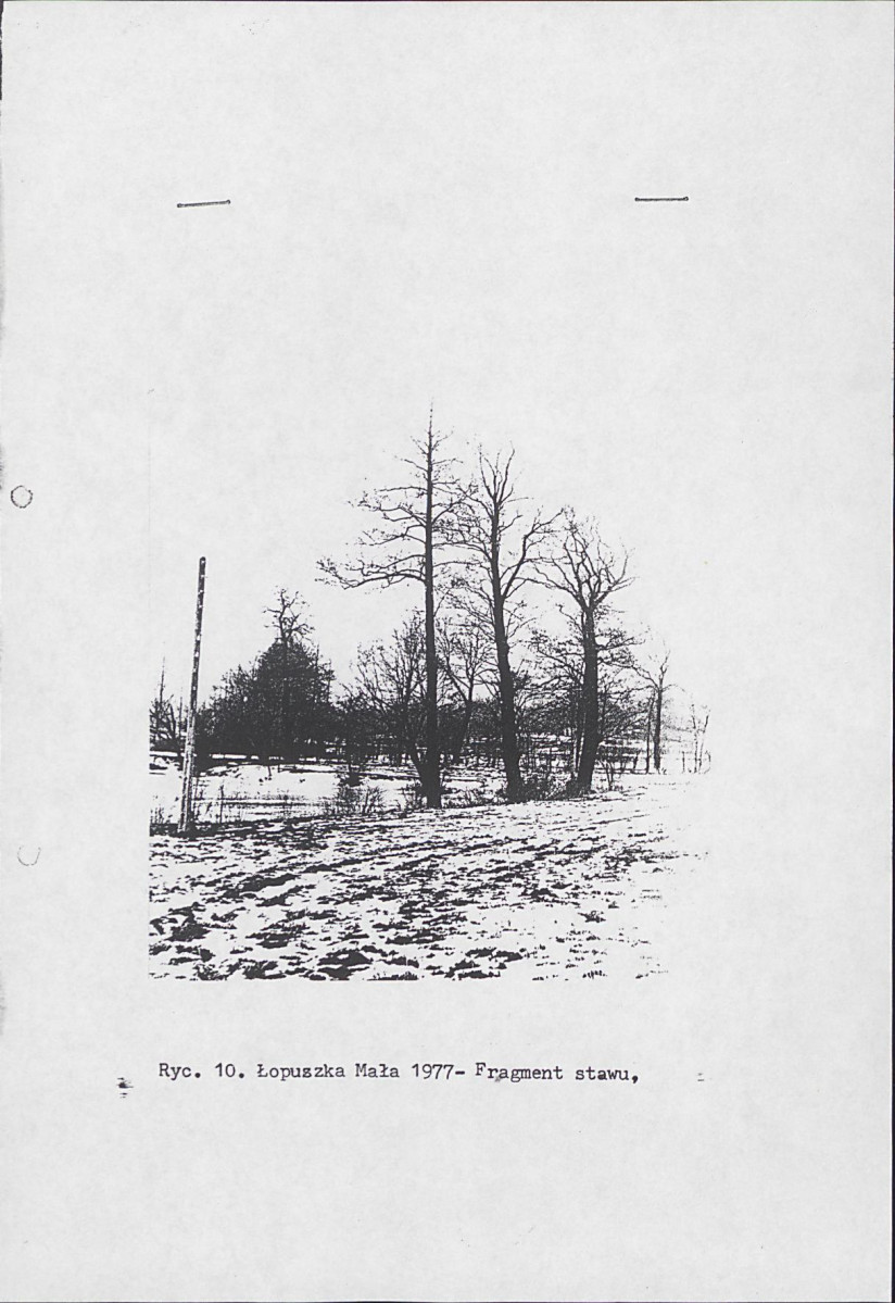 Ewidencja parkowa, skan nr 16