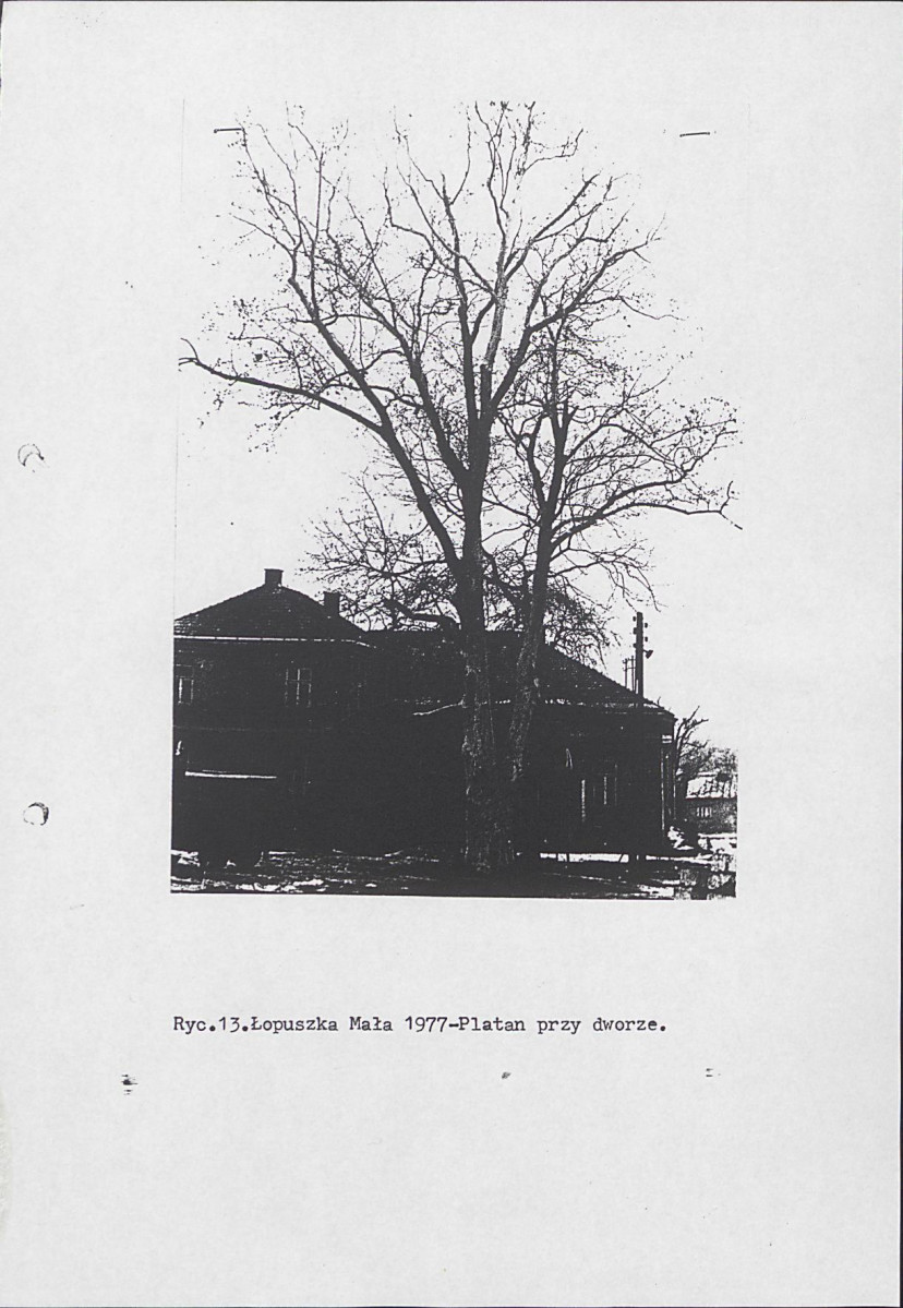 Ewidencja parkowa, skan nr 19