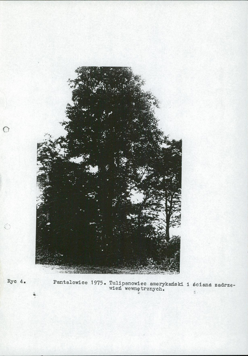 Ewidencja parkowa, skan nr 15