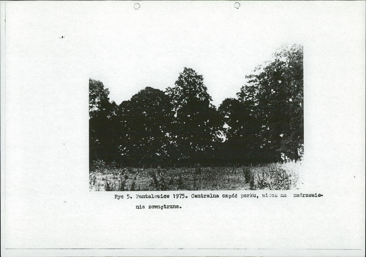 Ewidencja parkowa, skan nr 16