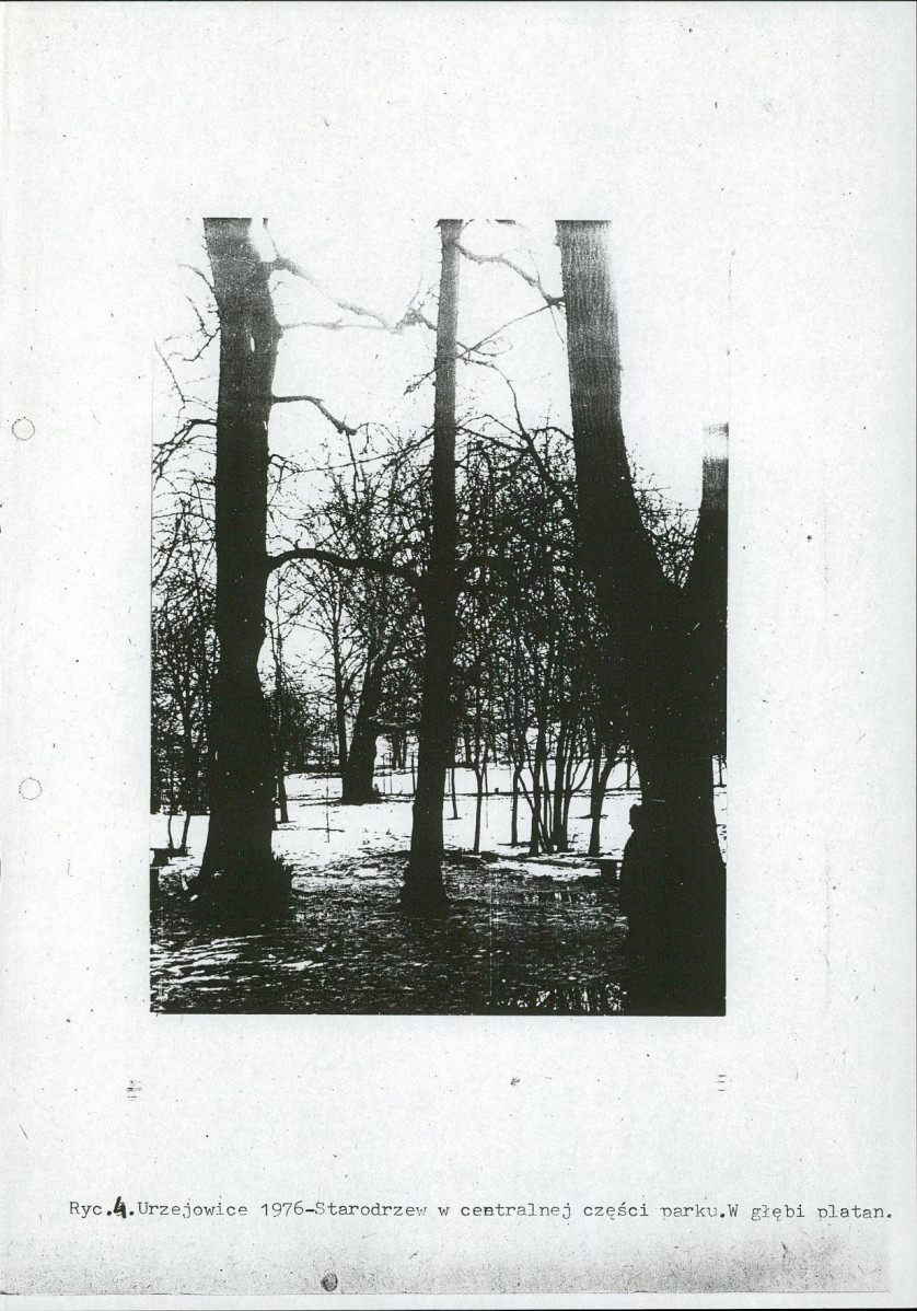 Ewidencja parkowa, skan nr 14
