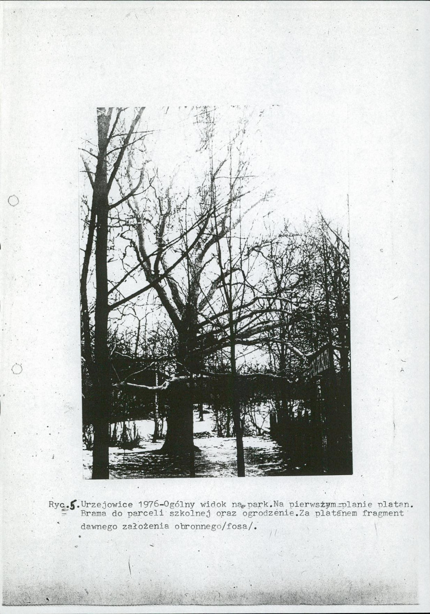 Ewidencja parkowa, skan nr 15