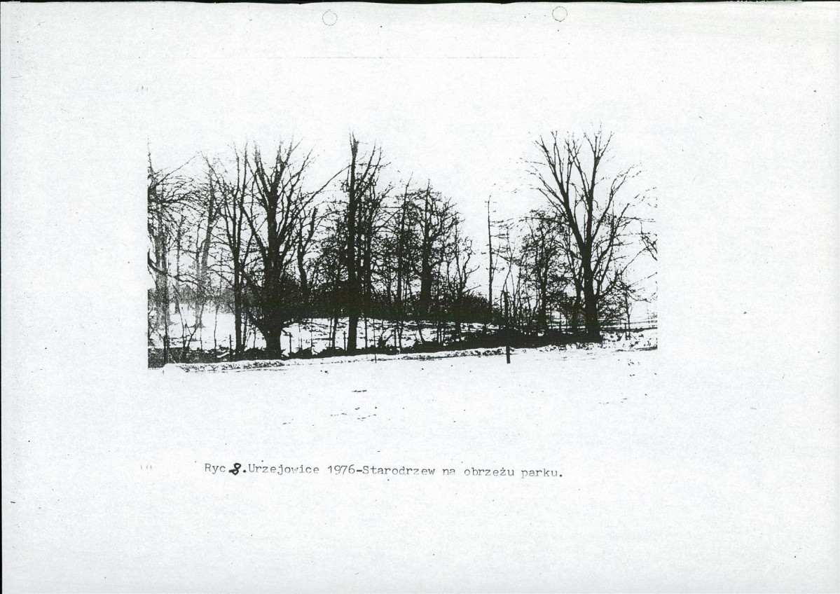 Ewidencja parkowa, skan nr 18