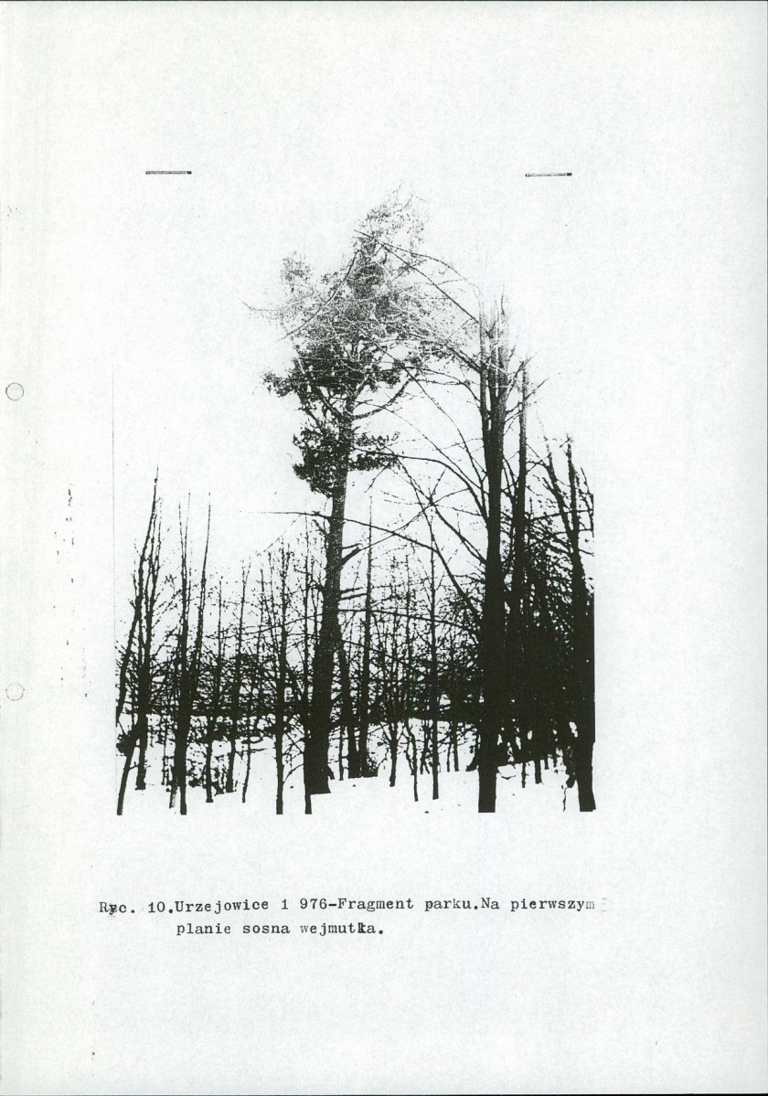 Ewidencja parkowa, skan nr 20