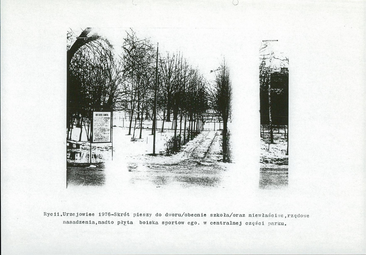Ewidencja parkowa, skan nr 21