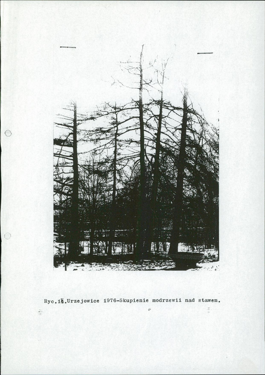 Ewidencja parkowa, skan nr 25