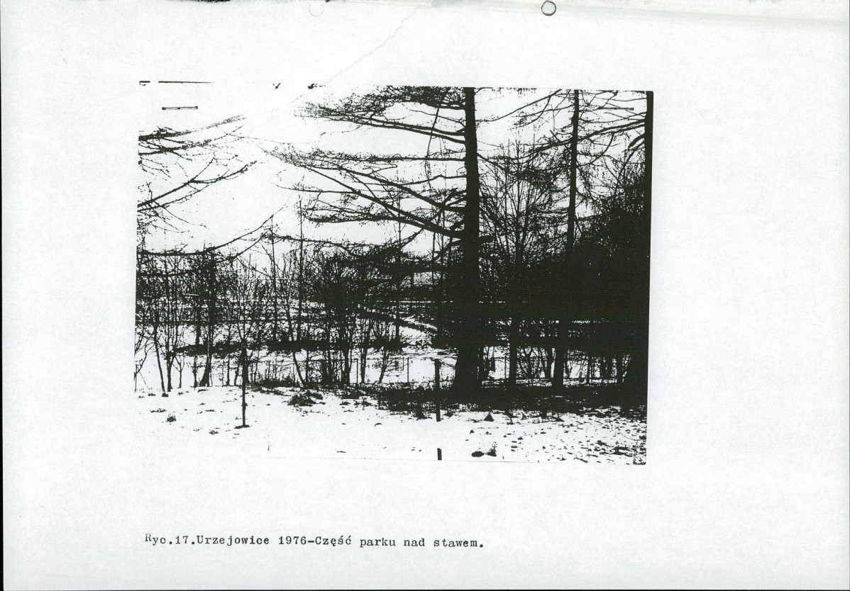 Ewidencja parkowa, skan nr 27