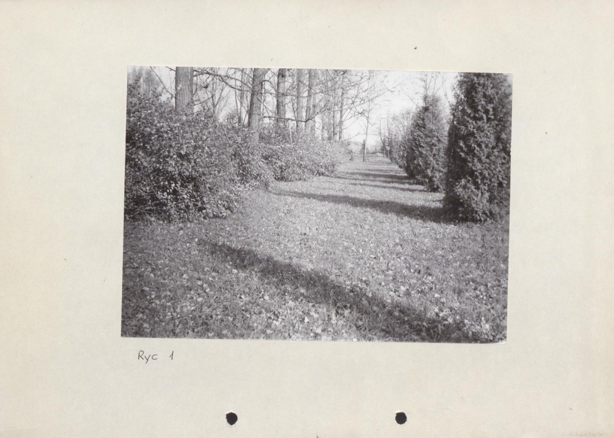 Ewidencja parkowa, skan nr 25