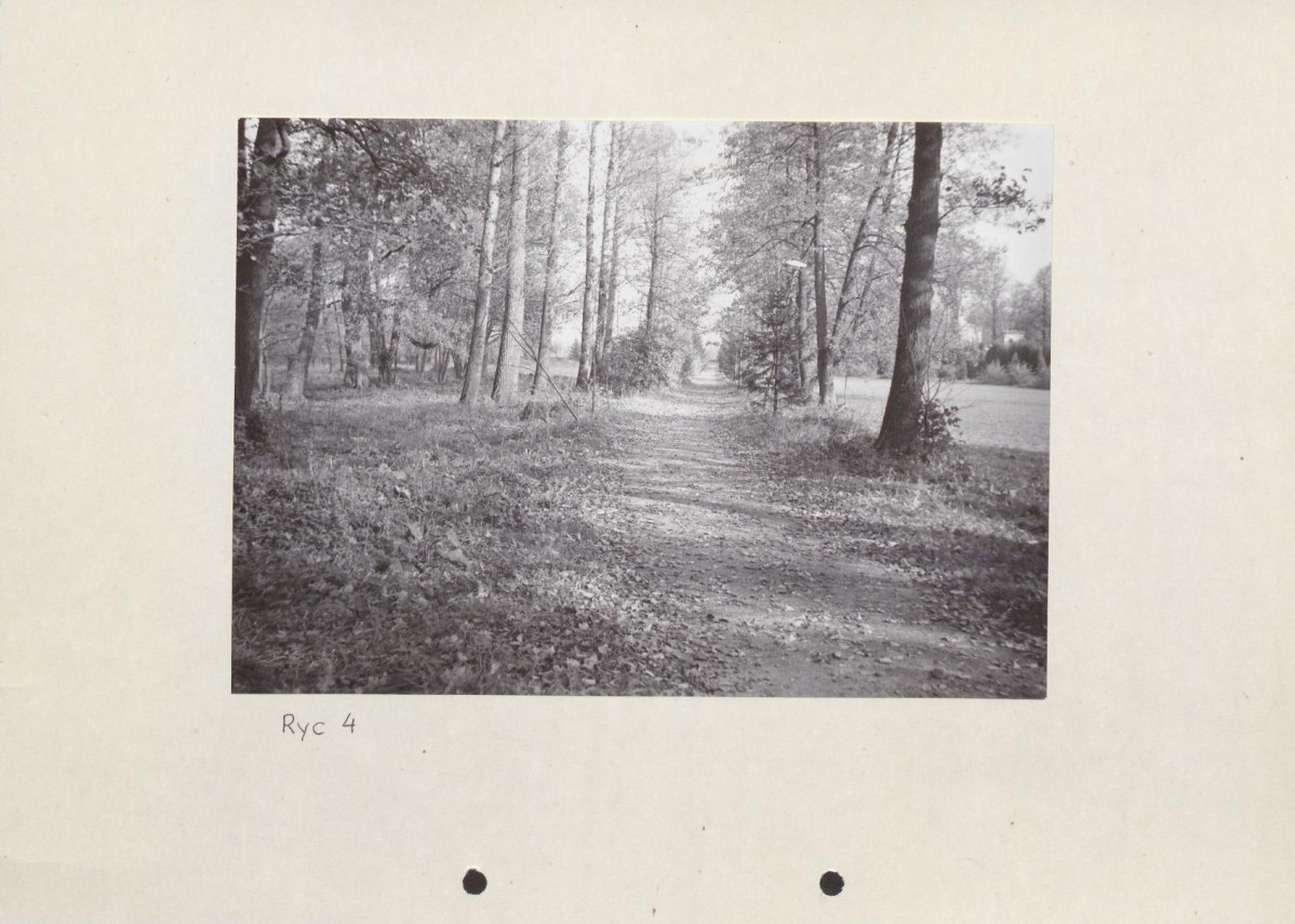 Ewidencja parkowa, skan nr 28