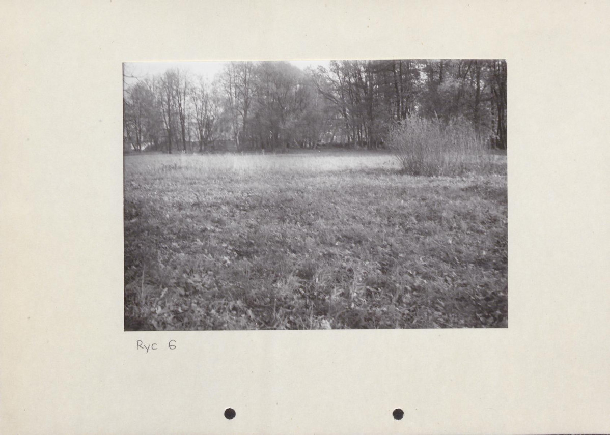 Ewidencja parkowa, skan nr 30