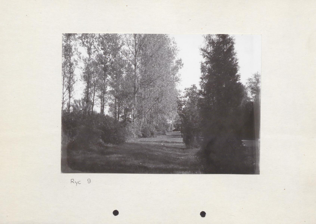 Ewidencja parkowa, skan nr 33
