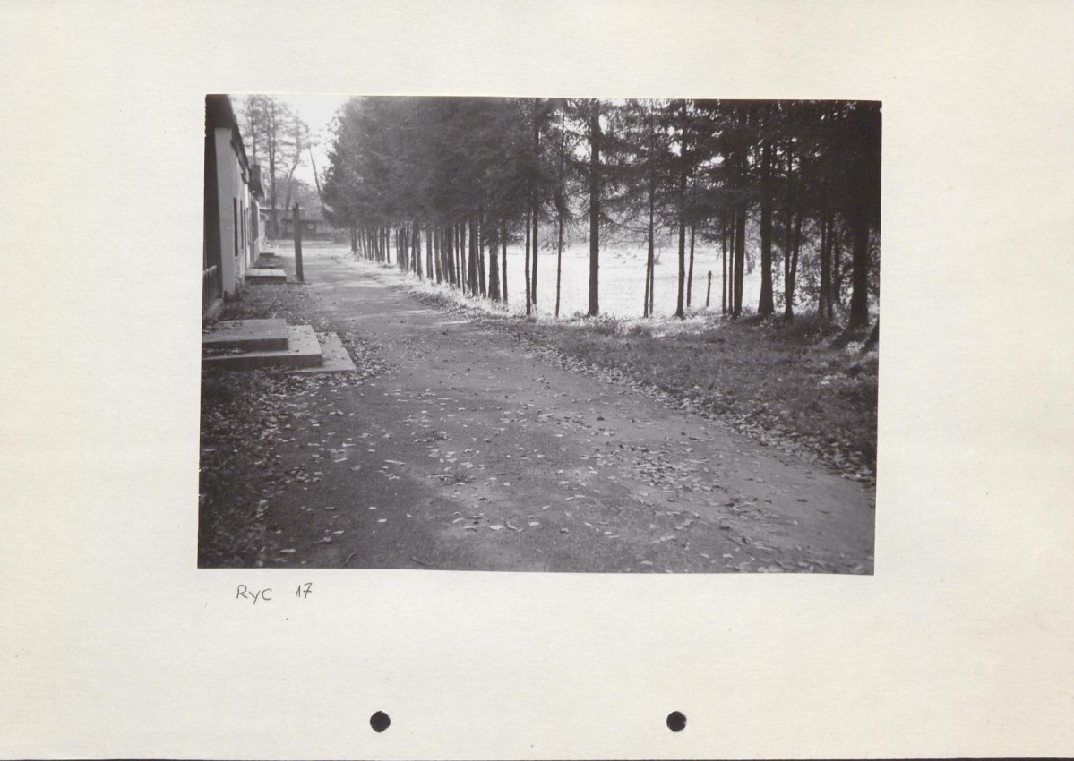 Ewidencja parkowa, skan nr 41