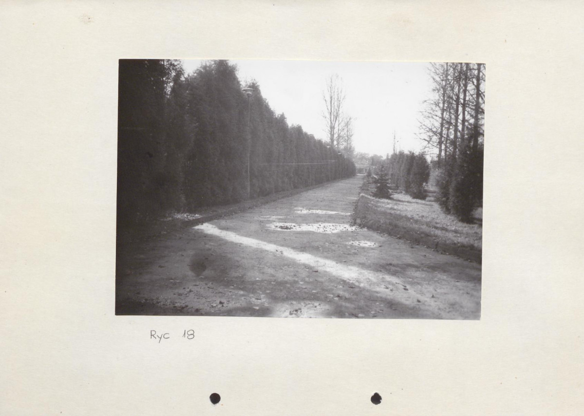 Ewidencja parkowa, skan nr 42