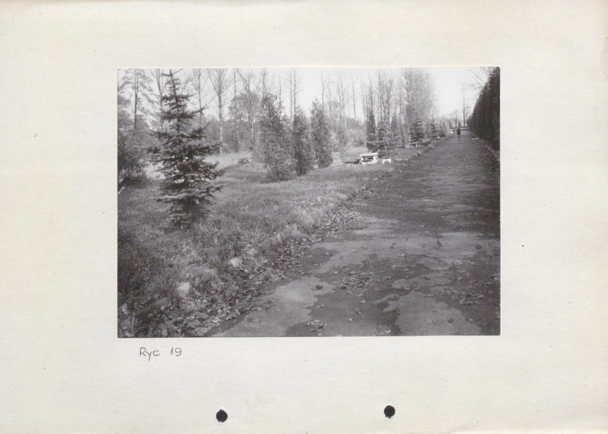 Ewidencja parkowa, skan nr 43