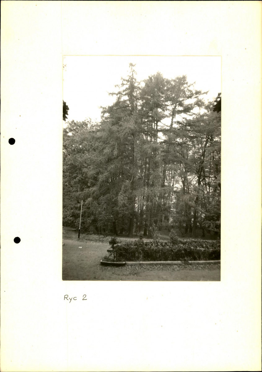 EP - Ewidencja parkowa, skan nr 21