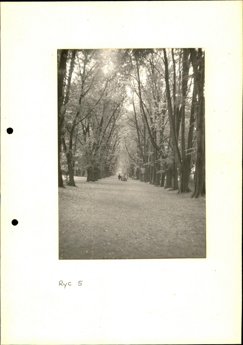 EP - Ewidencja parkowa, skan nr 24