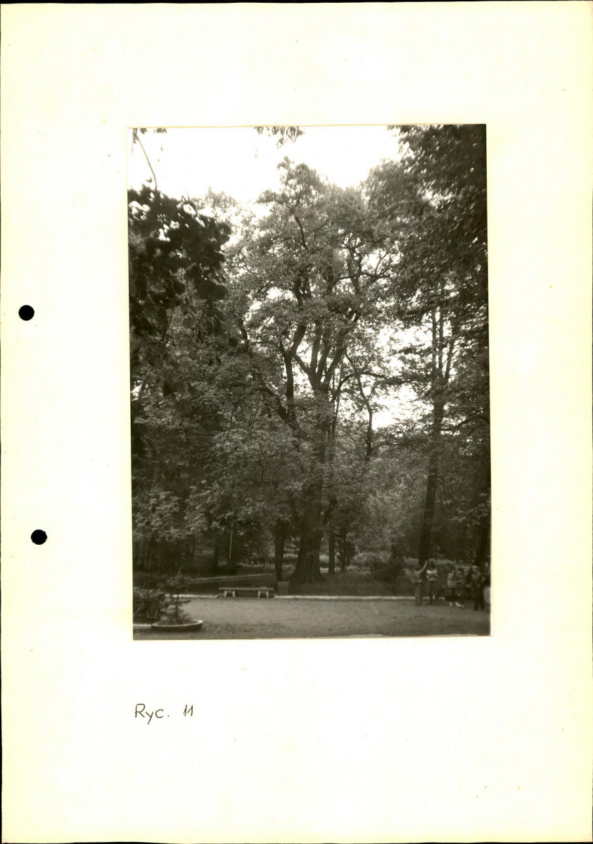 EP - Ewidencja parkowa, skan nr 29