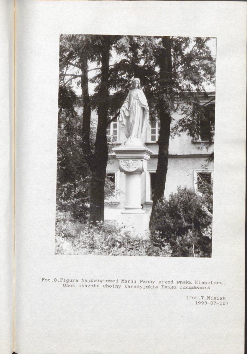 Ewidencja parkowa, skan nr 38