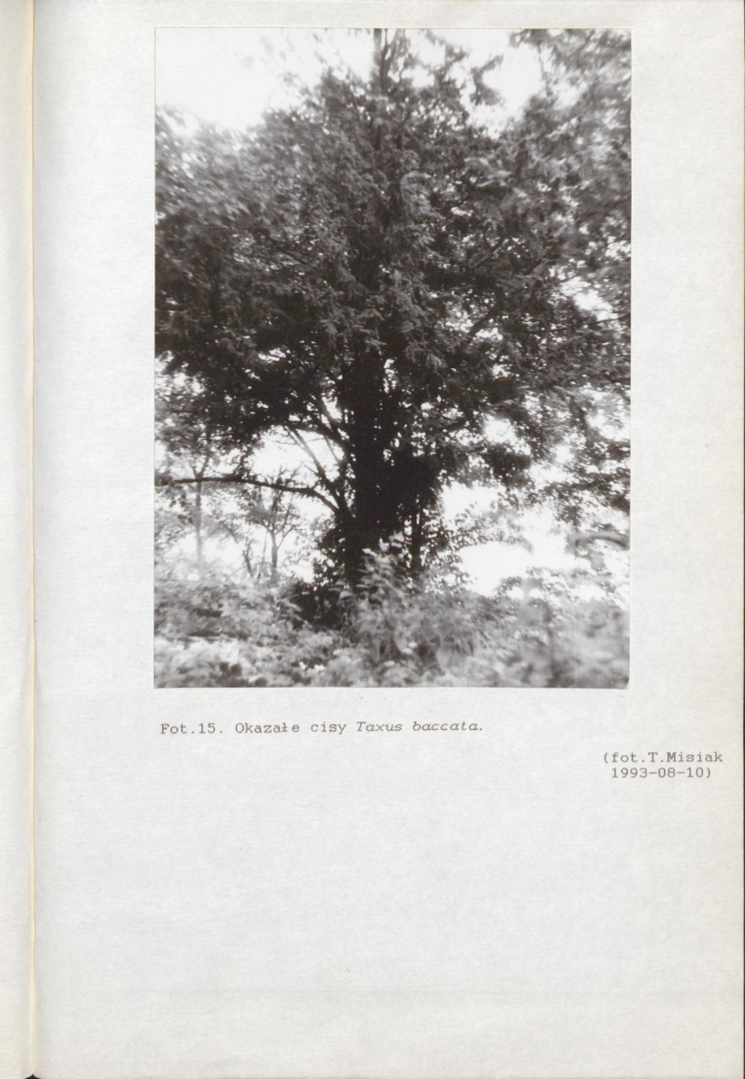 Ewidencja parkowa, skan nr 43