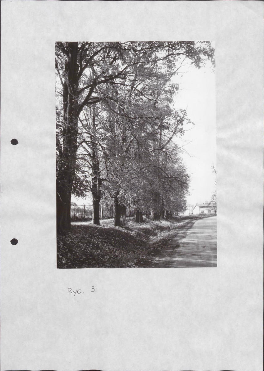 Ewidencja parkowa, skan nr 25