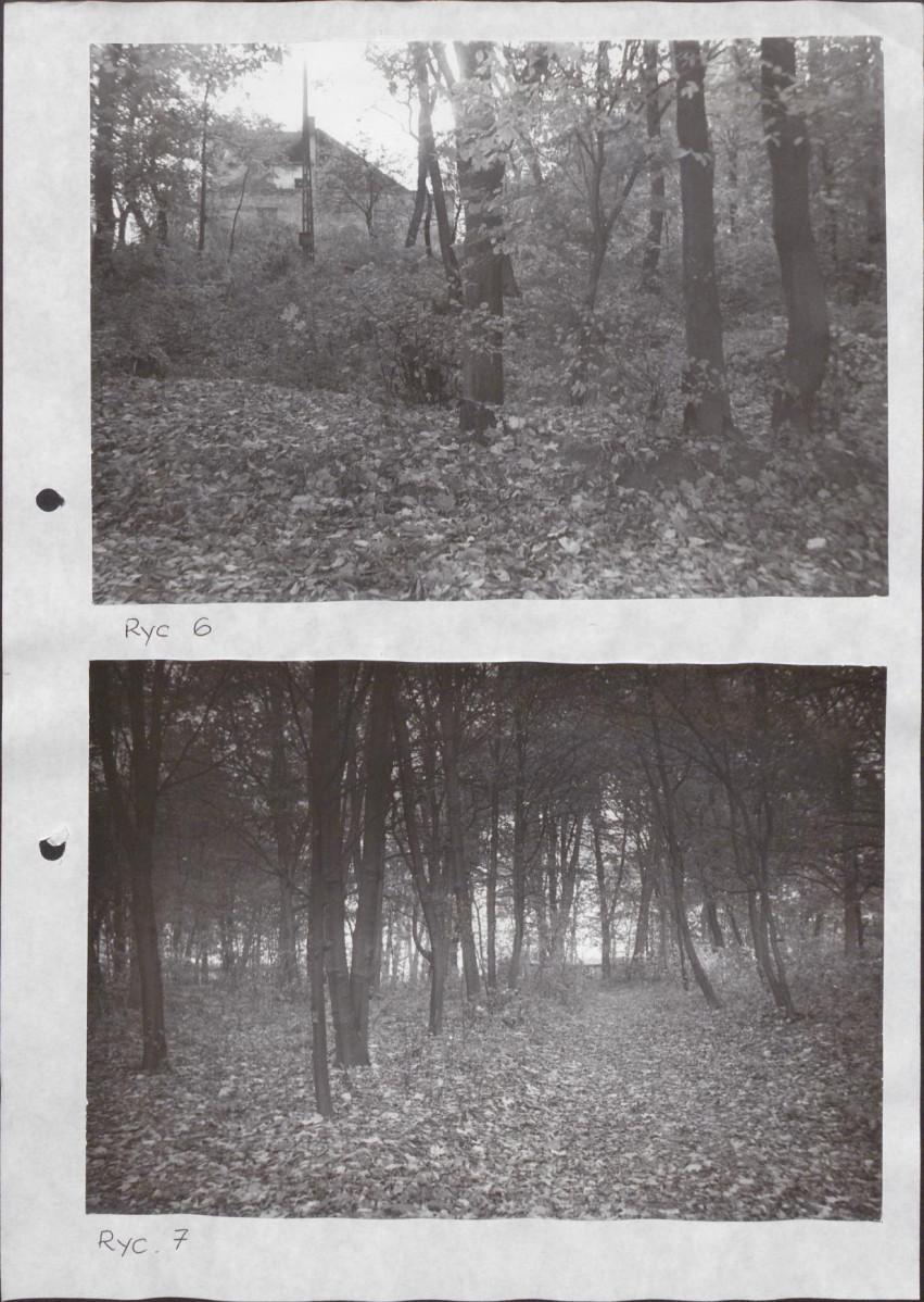 Ewidencja parkowa, skan nr 27