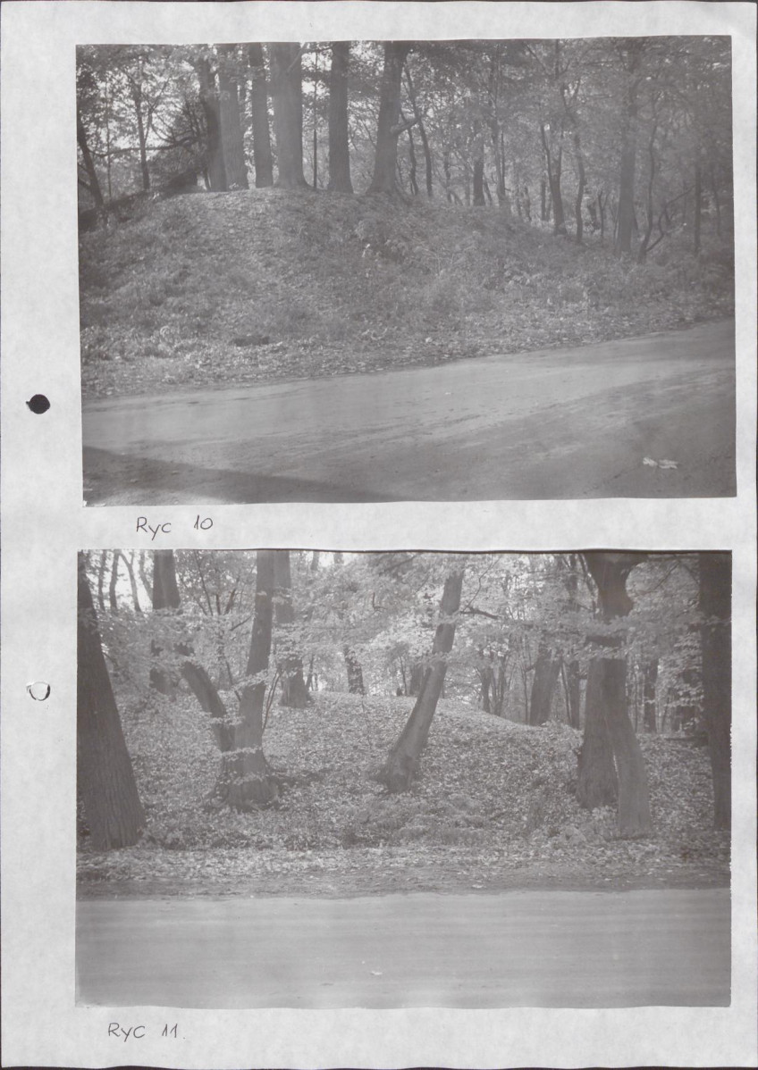 Ewidencja parkowa, skan nr 29