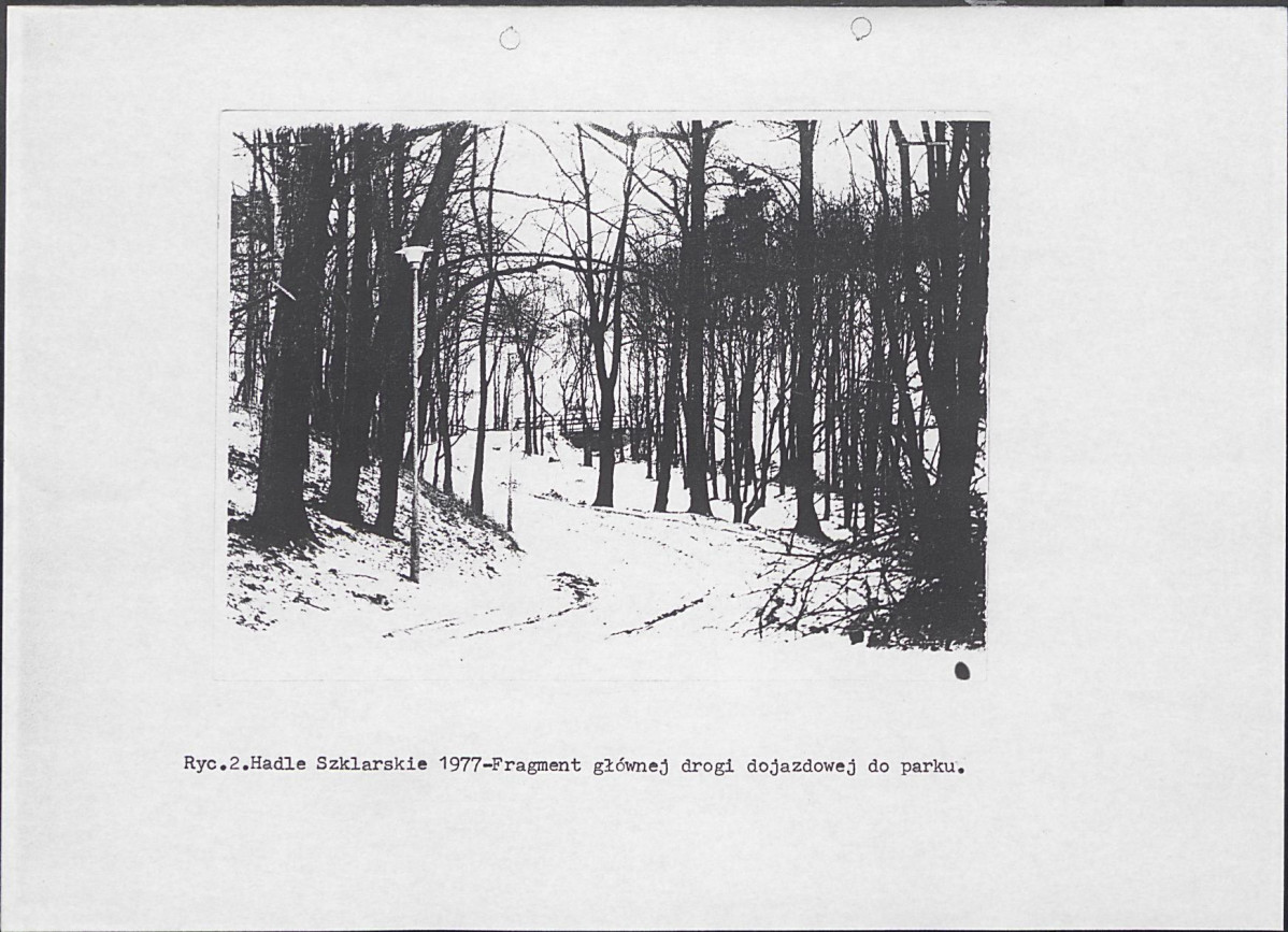 Ewidencja parkowa, skan nr 12