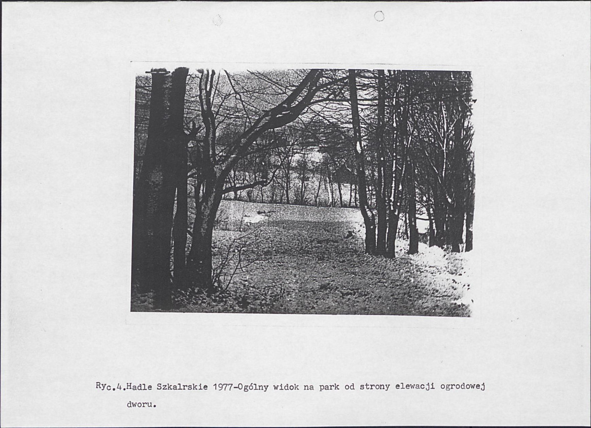 Ewidencja parkowa, skan nr 14