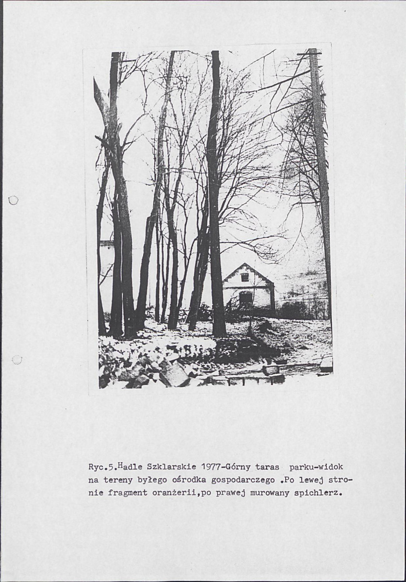 Ewidencja parkowa, skan nr 15