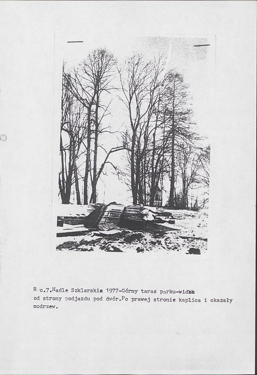 Ewidencja parkowa, skan nr 17