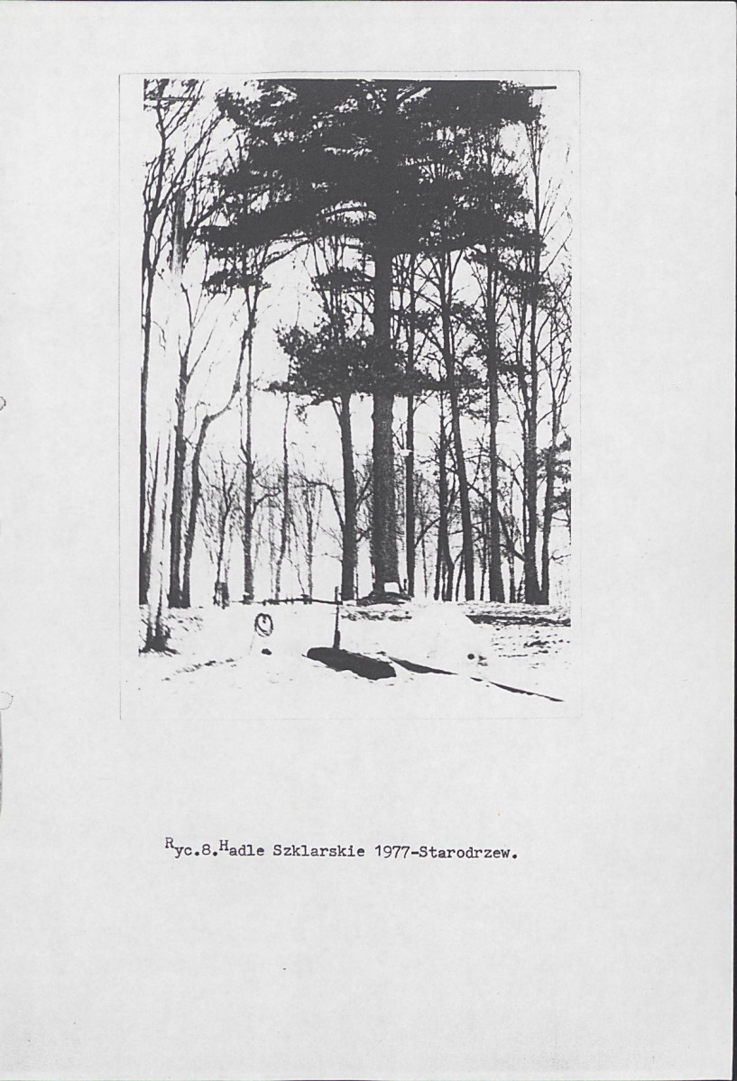 Ewidencja parkowa, skan nr 18
