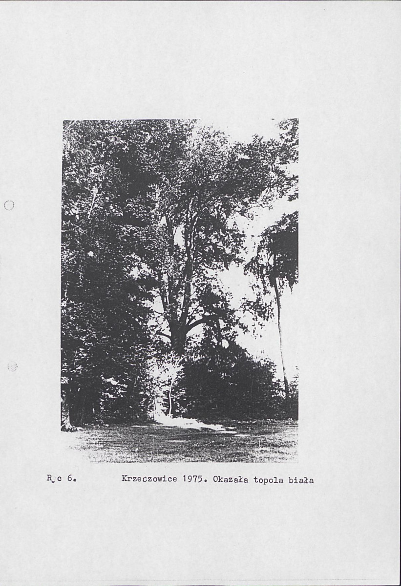 Ewidencja parkowa, skan nr 14