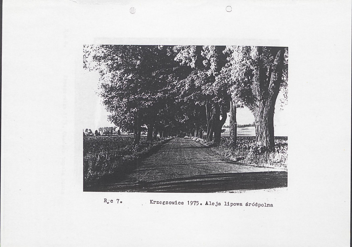 Ewidencja parkowa, skan nr 15