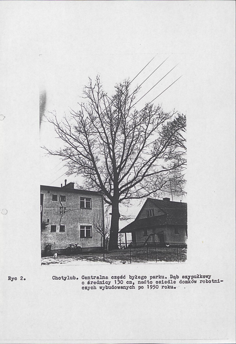 Ewidencja parkowa, skan nr 10