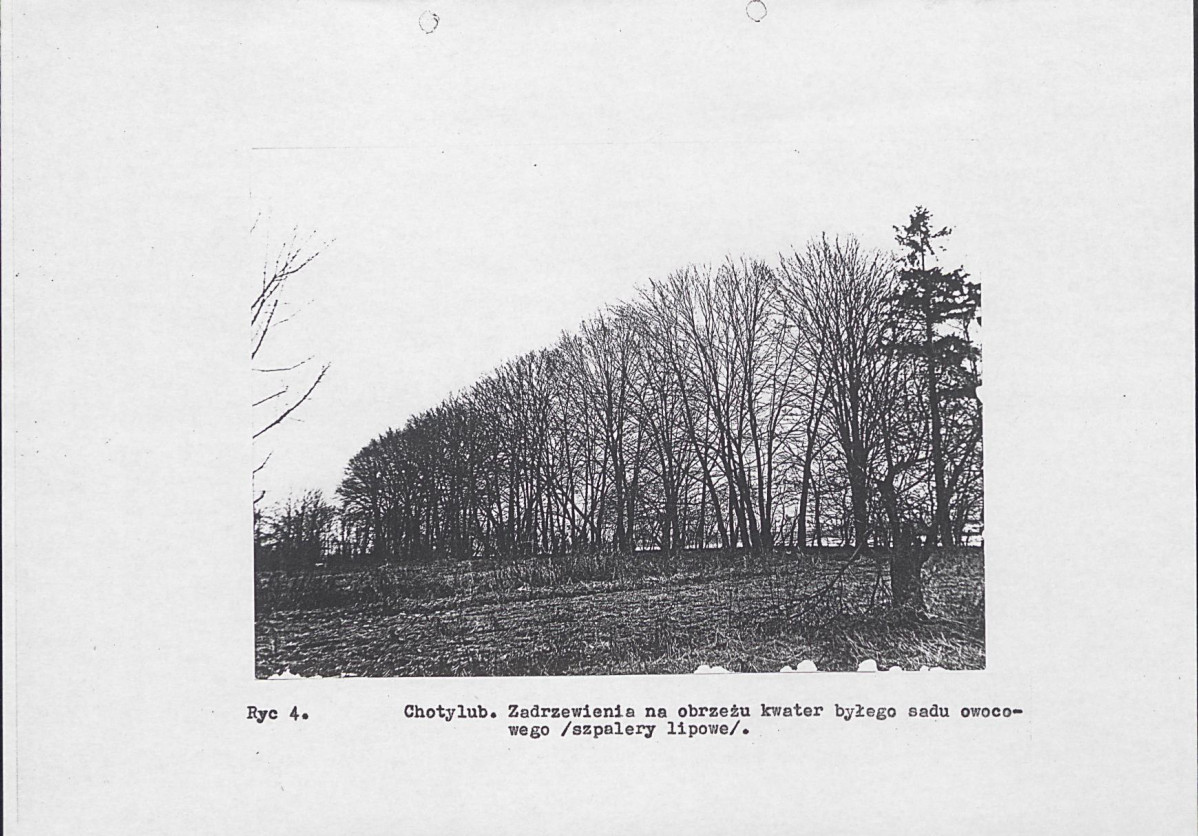 Ewidencja parkowa, skan nr 11